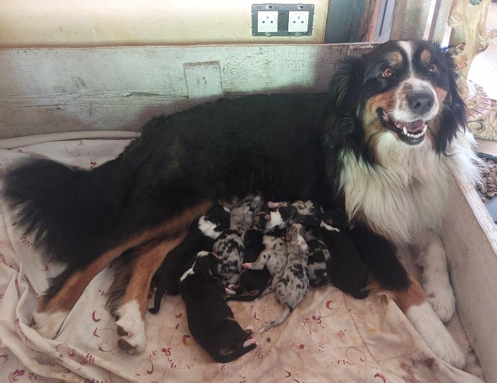 Nouvelle naissance et de 10 !